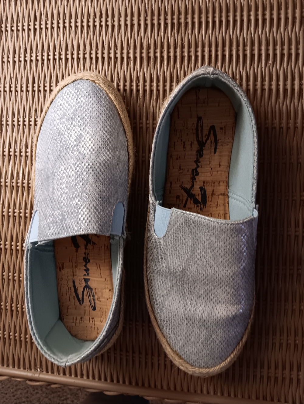 Shiny Pair Of Espadrilles